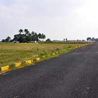  Residential Plot 167 Sq. Yards for Sale in Sontyam, Visakhapatnam