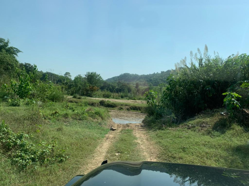 1 RK 1 Bigha Farm House for Sale in Mullanpur Garibdass, Mohali