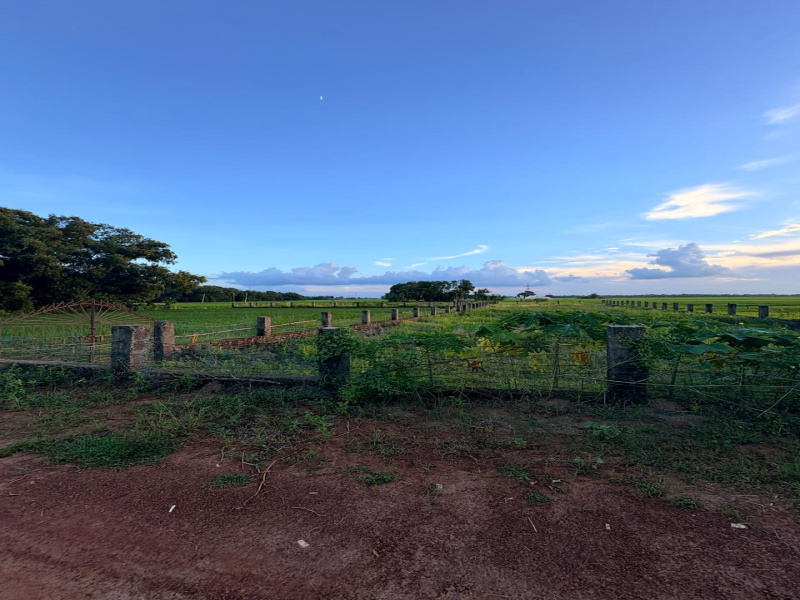  44 Dismil Residential Plot for Sale in Nalanga, Bhadrak