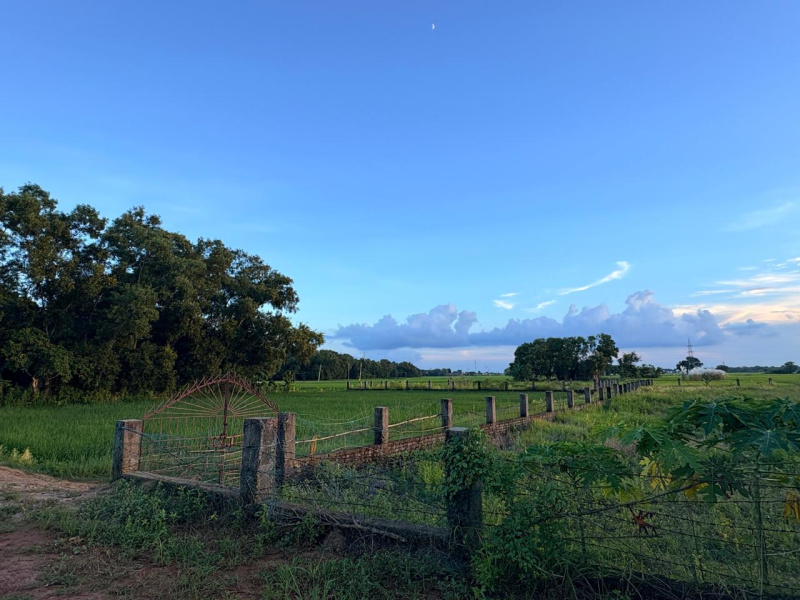  44 Dismil Residential Plot for Sale in Nalanga, Bhadrak