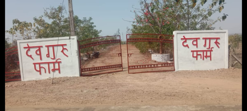  Agricultural Land 6000 Sq.ft. for Sale in Charganwa Road, Tilwara Jabalpur