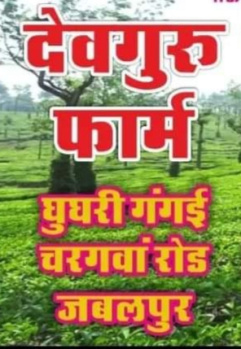  Agricultural Land for Sale in Tilwara, Jabalpur