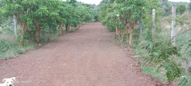  Agricultural Land 6000 Sq.ft. for Sale in Tilwara, Jabalpur
