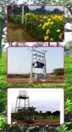  Agricultural Land 6000 Sq.ft. for Sale in Tilwara, Jabalpur