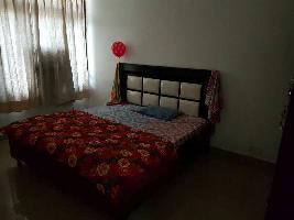 1 RK House for Rent in Sector 60 Mohali