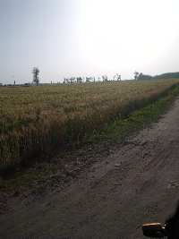  Industrial Land for Sale in Shahzadpur, Ambala