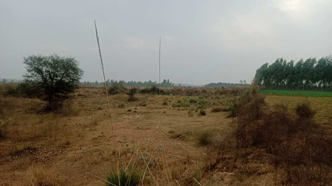 Industrial Land 1 Acre for Sale in Raipur Rani, Panchkula