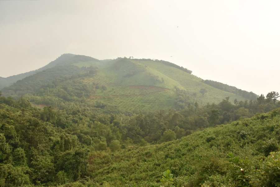Agricultural Land 100 Acre for Sale in Dodamarg, North Goa, (REI1073961)
