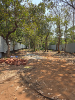  Residential Plot for Sale in Salvador Do Mundo, Bardez, Goa