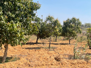  Agricultural Land for Sale in Virat Nagar, Jaipur