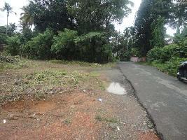  Residential Plot for Sale in Kakkanad, Kochi