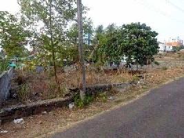  Residential Plot for Sale in Kakkanad, Kochi