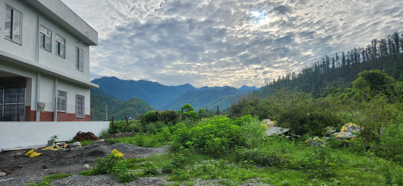  Commercial Land 315 Sq. Yards for Sale in Thano, Dehradun