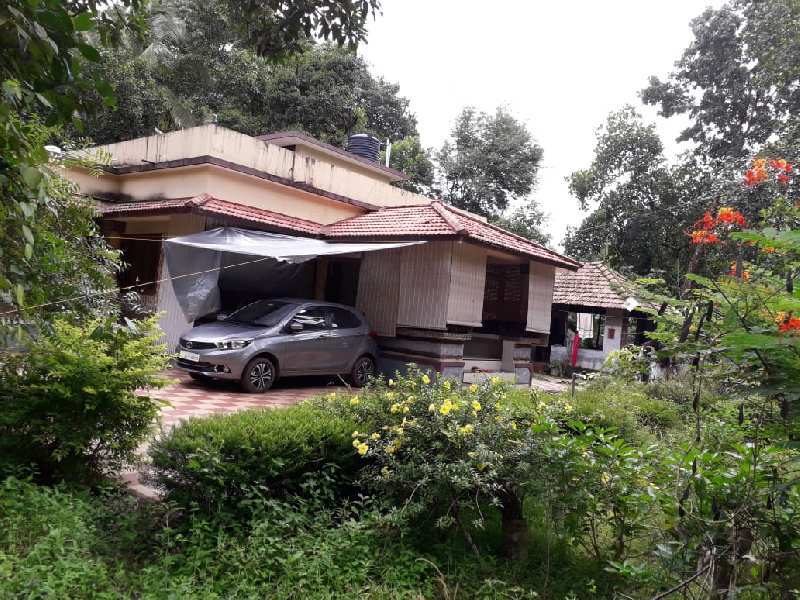2 BHK House 10 Cent for Sale in Trikaripur, Kasaragod