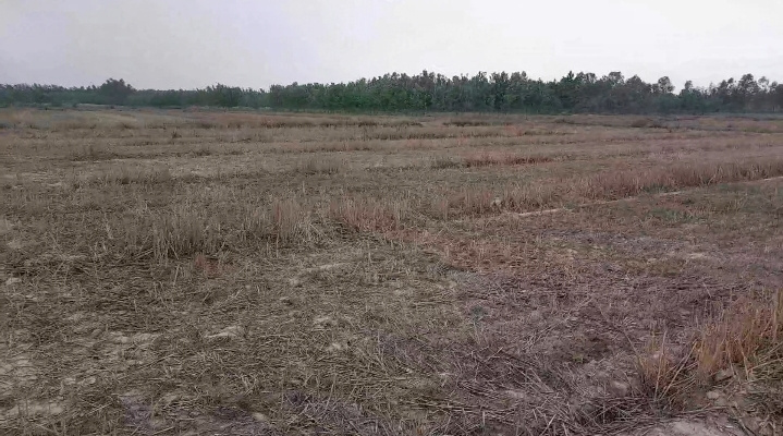  Agricultural Land 100 Acre for Sale in Brijghat, Moradabad