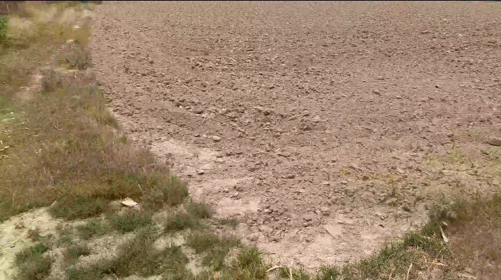  Agricultural Land 40 Acre for Sale in Sitarganj, Udham Singh Nagar