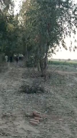  250 Bigha Agricultural/Farm Land for Sale in Dataganj, Badaun