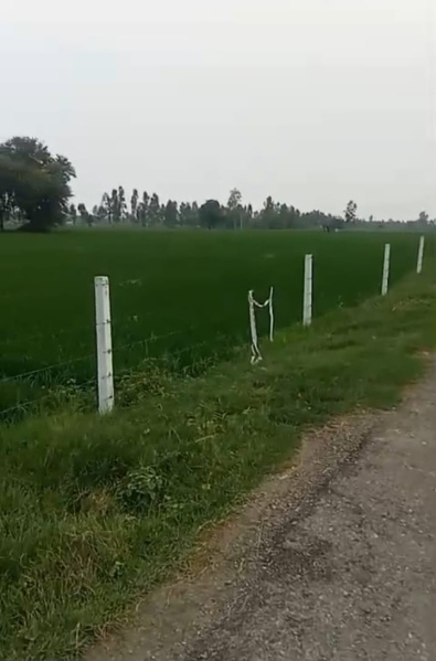  1000 Bigha Agricultural/Farm Land for Sale in Mohammadi, Lakhimpur Kheri