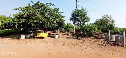  Agricultural Land for Sale in Marpally Mandal, Rangareddy