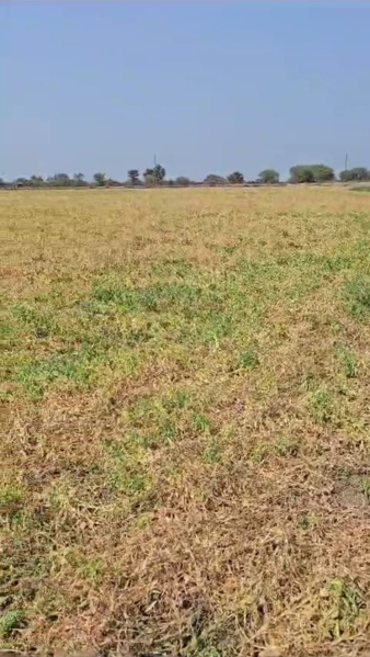  40000 Sq.ft. Commercial Land for Rent in Meerut Road Industrial Area, Ghaziabad