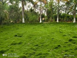  Residential Plot for Sale in Vangapalli, Hyderabad
