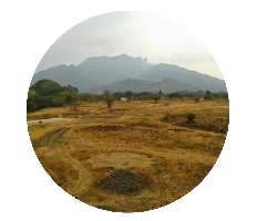  Agricultural Land for Sale in Thottiyam, Tiruchirappalli
