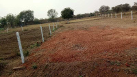  Agricultural Land for Sale in Shabad, Rangareddy