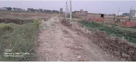  Commercial Land for Sale in Anisabad, Patna