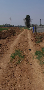  Agricultural Land for Sale in Bihta, Patna