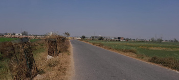  Residential Plot for Sale in Anisabad, Patna