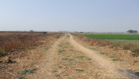  Residential Plot for Sale in Punpun, Patna