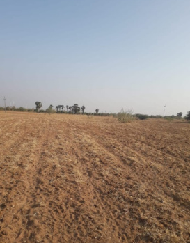  Agricultural Land for Sale in Kalyandurg, Anantapur