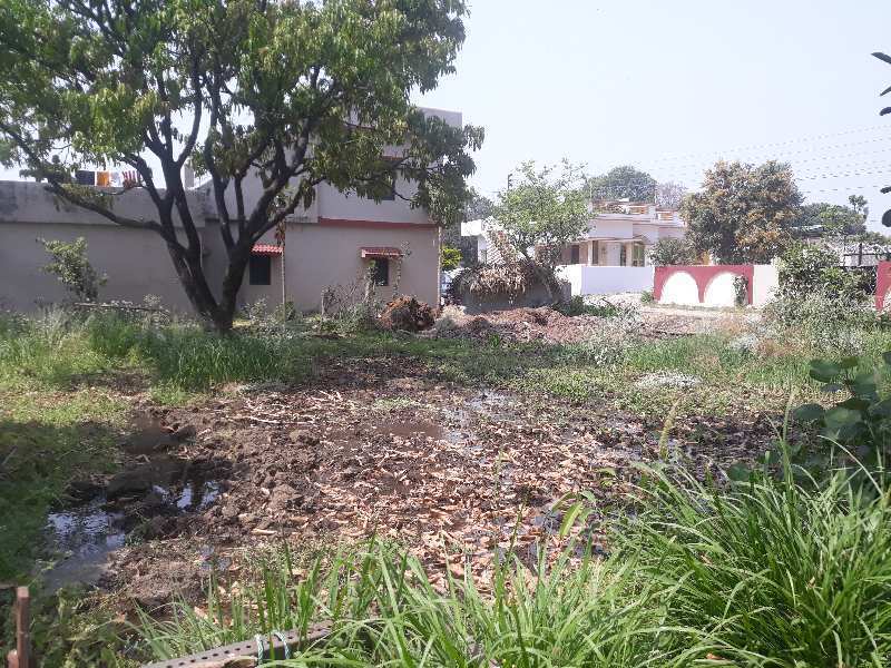 Residential Plot 2566 Sq.ft. for Sale in Jolly Grant, Dehradun (REI879682)