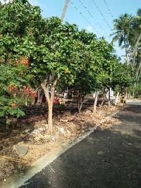  Residential Plot for Sale in Mettupalayam Road, Coimbatore