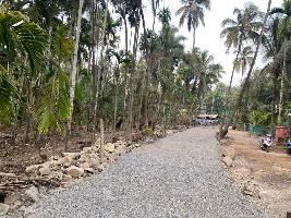  Agricultural Land for Sale in Alibag, Raigad