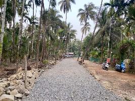  Agricultural Land for Sale in Alibag, Raigad