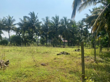  Agricultural Land for Sale in Alibag, Raigad