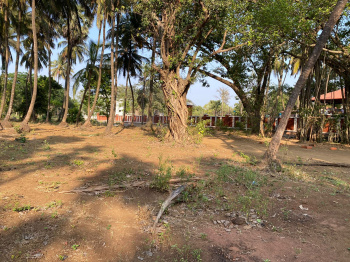  Agricultural Land for Sale in Nagaon, Alibag, Raigad