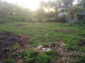  Residential Plot for Sale in Alibag, Raigad