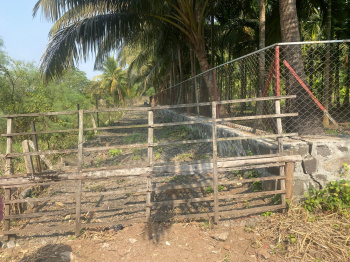  Residential Plot for Sale in Chaul, Alibag, Raigad