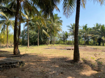  Residential Plot for Sale in Nagaon, Alibag, Raigad