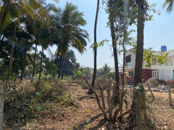  Residential Plot for Sale in Alibag, Raigad