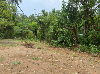  Residential Plot for Sale in Alibag, Raigad