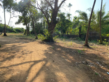  Residential Plot for Sale in Alibag, Raigad