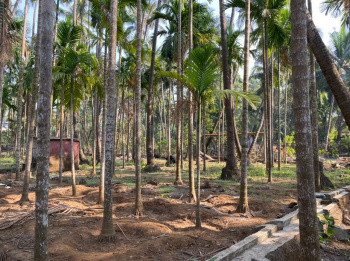 Residential Plot for Sale in Alibag, Raigad