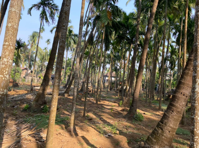 Alibag, Raigad photo 3