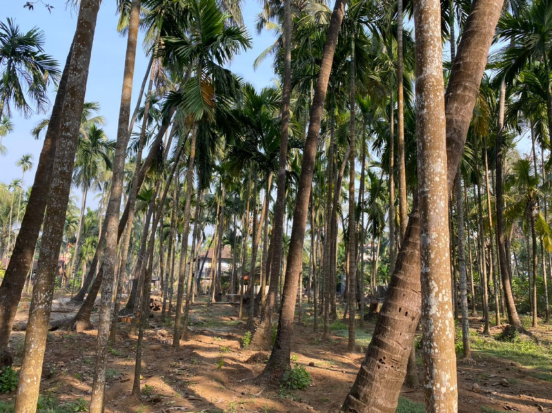 Alibag, Raigad photo 5
