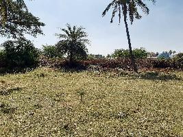  Residential Plot for Sale in Arsikere, Hassan