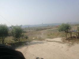  Agricultural Land for Sale in Kadipur, Sultanpur