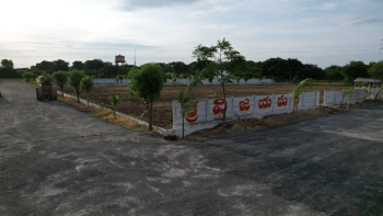  Residential Plot for Sale in Tadikonda, Guntur